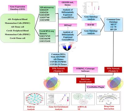 Molecular crosstalk between COVID-19 and Alzheimer’s disease using microarray and RNA-seq datasets: A system biology approach